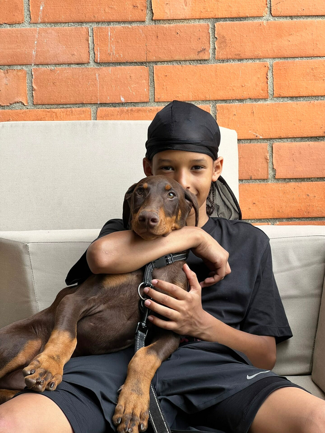 Doberman Whiskey: A New Adventure Begins in Medellín