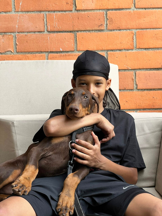 Doberman Whiskey: A New Adventure Begins in Medellín