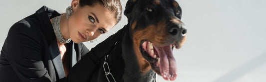 dog pictures