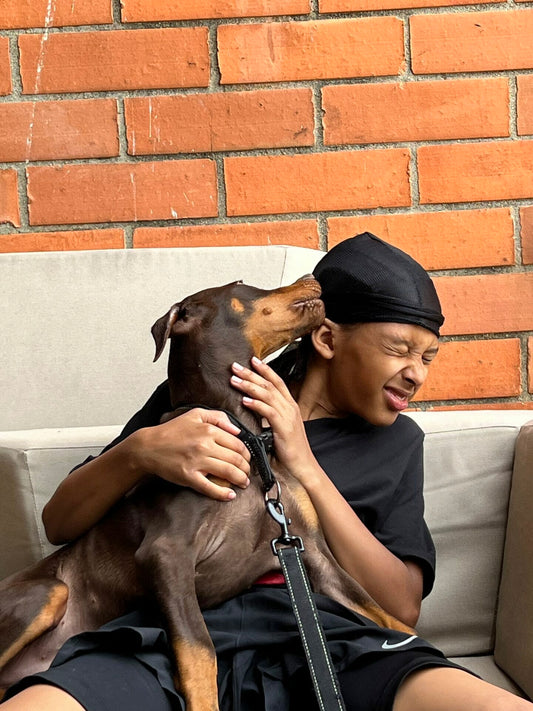 The Doberman: An Intelligent and Loyal Companion