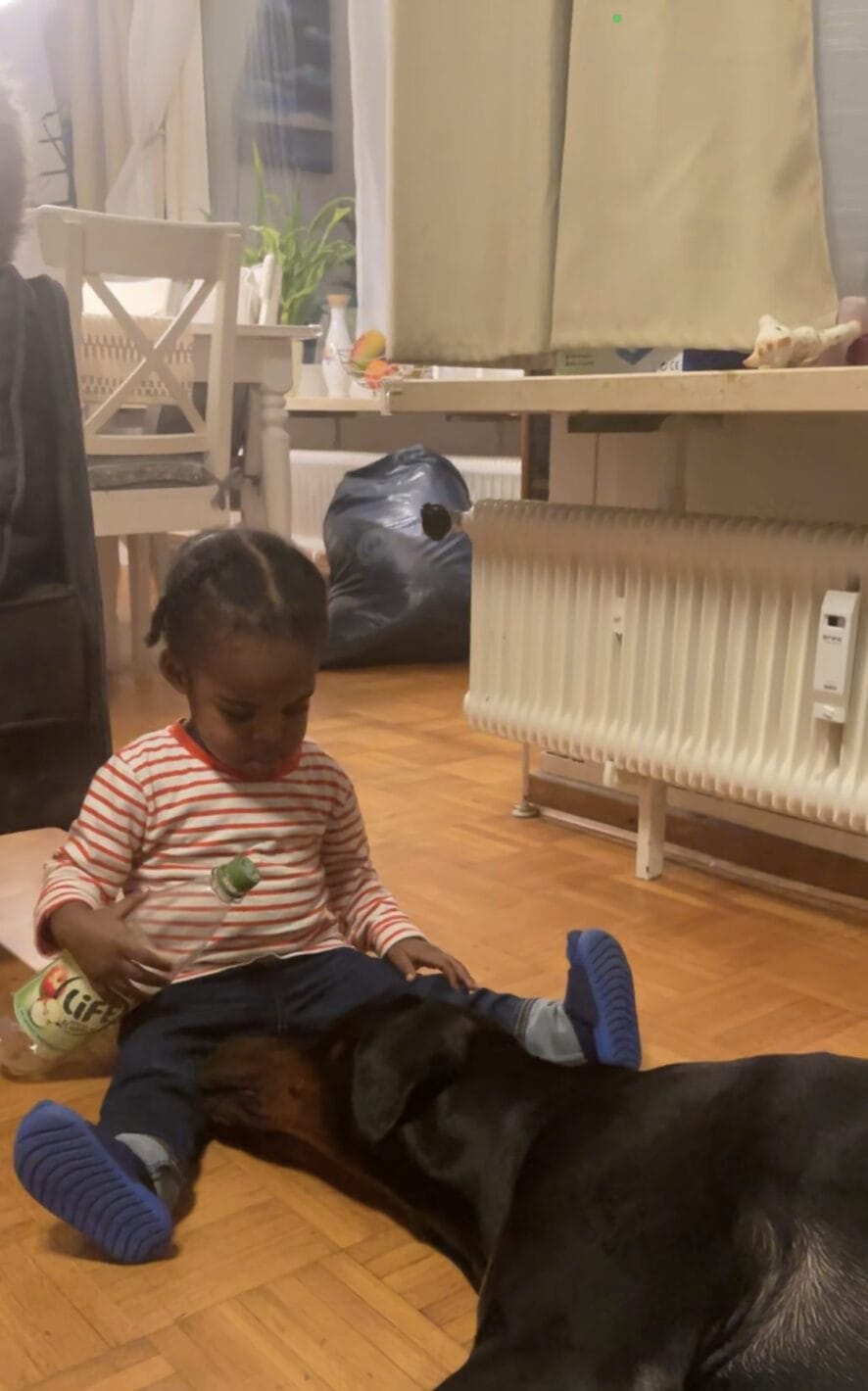 doberman children baby