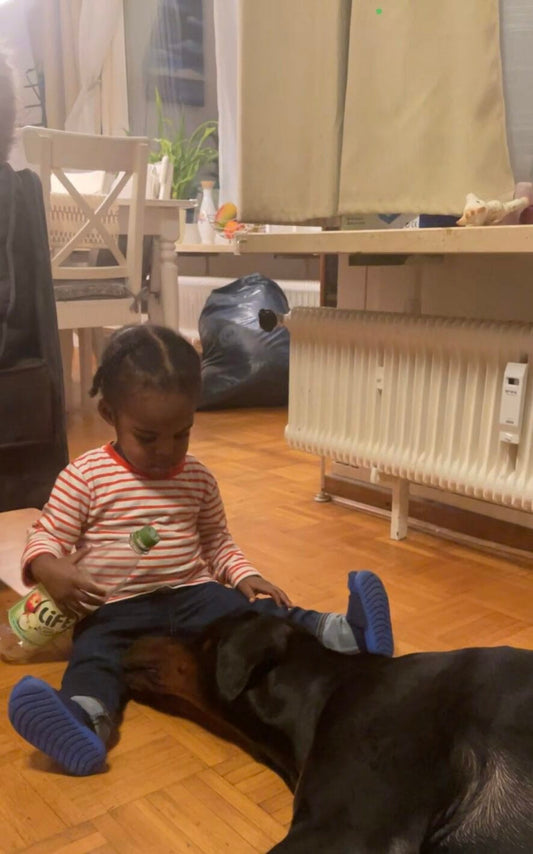 doberman children baby