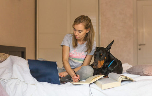 Doberman-Proofing Your Home