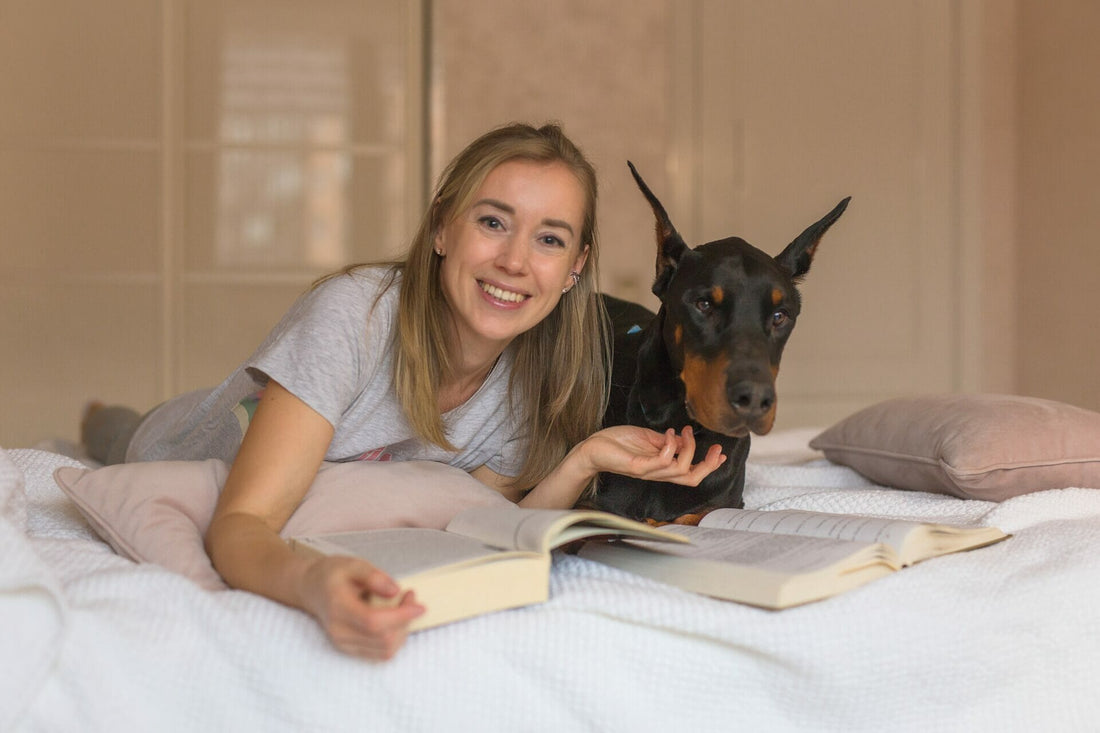 Making Doberman Ears Stand Up: A Journey Beyond Cropping