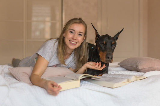 Making Doberman Ears Stand Up: A Journey Beyond Cropping