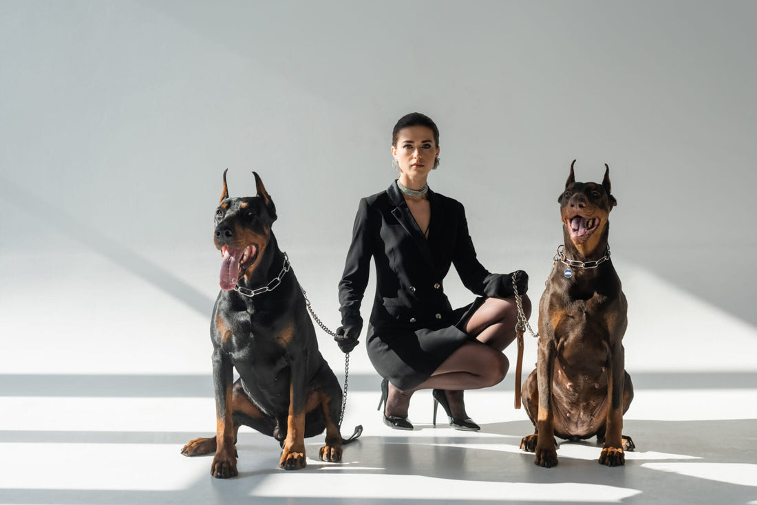 red doberman