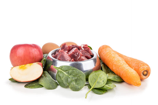 BARF: Raw Feeding for Dogs